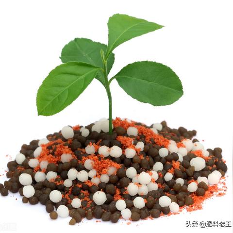 河北尿素最新价钱走势剖析