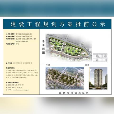 金港镇最新妄想揭秘，，细节全剖析