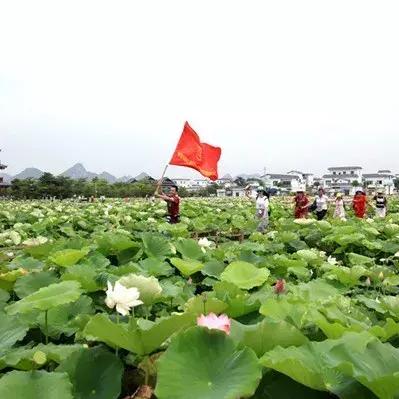 盛世荷城最新动态