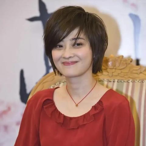 梅婷最新发型