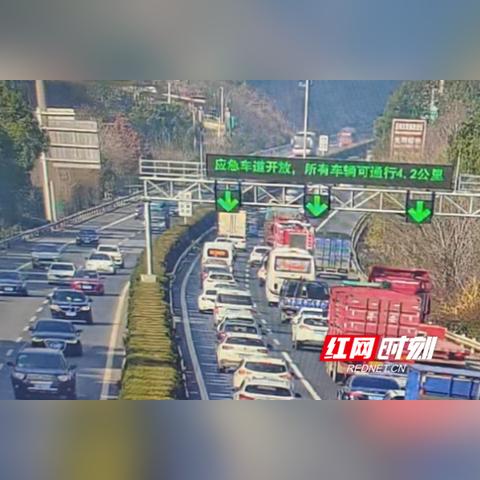 查开放房网址最新