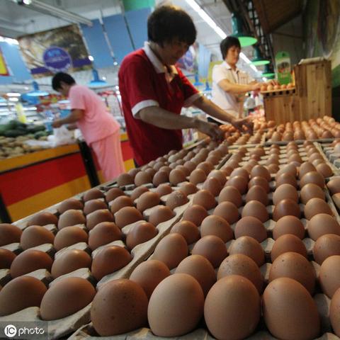 山东今日豆粕最新价钱