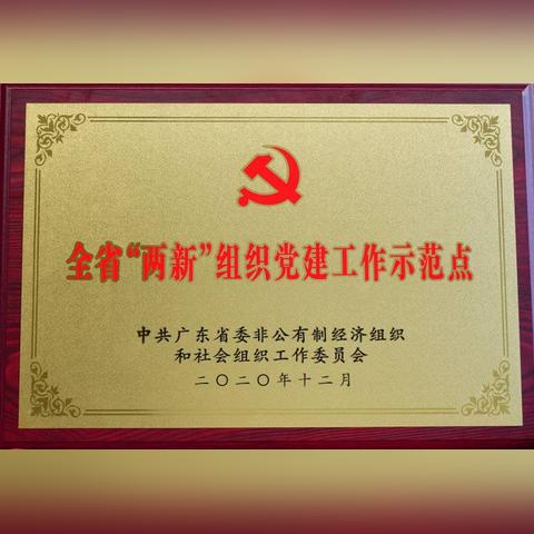 我们完婚了最新预告