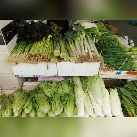 成鹅价钱最新行情