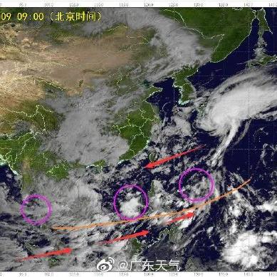 肇庆台风最新实况