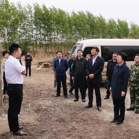 阿城钢铁最新动态