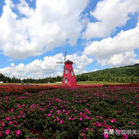 云南楼市最新动态