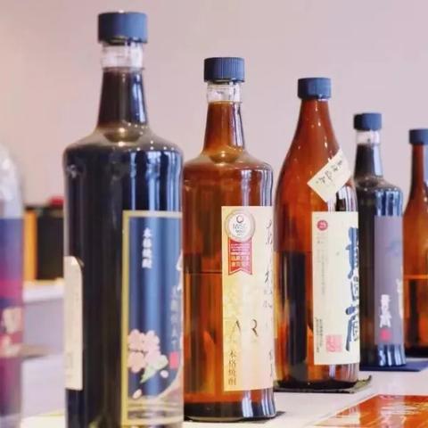 地瓜最新品种