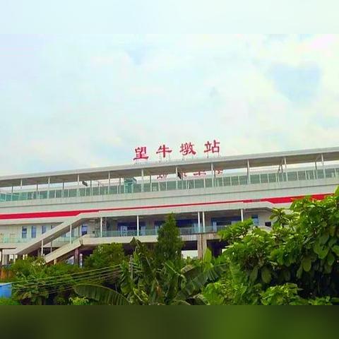 穗莞深城轨希望更新报告，，，，，最新动态揭秘