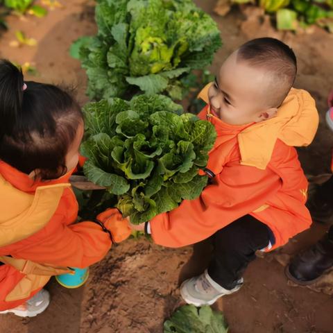 2025河北粮食津贴最新新闻