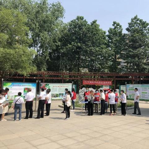 任城棚改最新希望，，，，，，加速都会化历程深度剖析