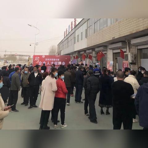 衡水市招聘网最新招聘