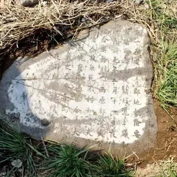 临淄新闻热门，，，，，，九人事务深度报道更新
